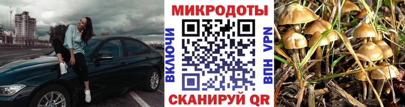Псилоцибиновые грибы MAGIC MUSHROOMS  как найти закладки  omg ссылки  Усть-Джегута 