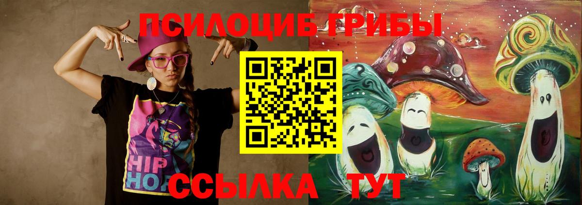 Усть-Джегута  Галлюциногенные грибы MAGIC MUSHROOMS  купить закладку  Вход с VPN 